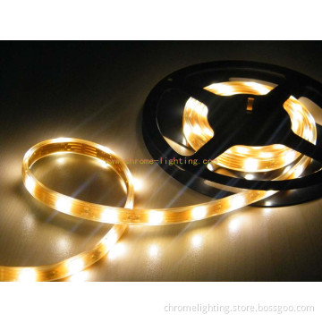 Water Proof LED Strip Light, Water Proof LED Strip, SMD5050, 60LEDs/M (CM-12PS5050-60WW)